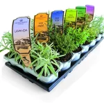 AR Tris PACK Completo